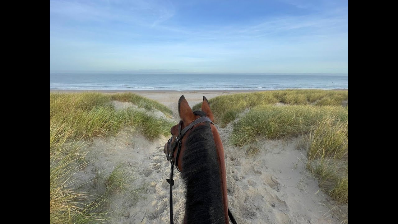 Ponyhof ponykamp 2023
