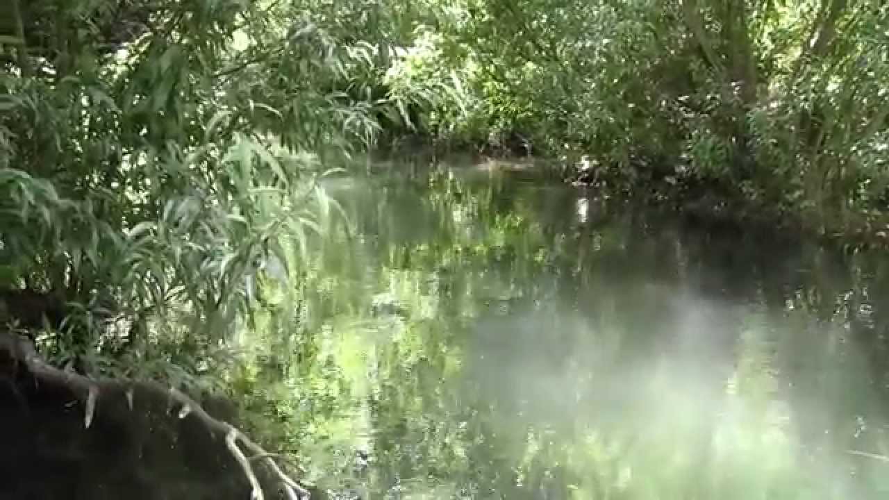 Fly Fishing small waters - A Hidden stream HD