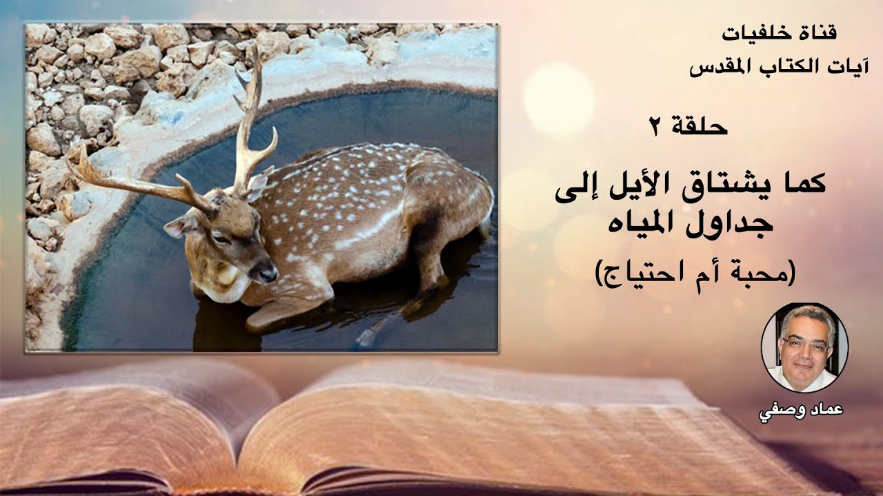 محبة أم احتياج فقط