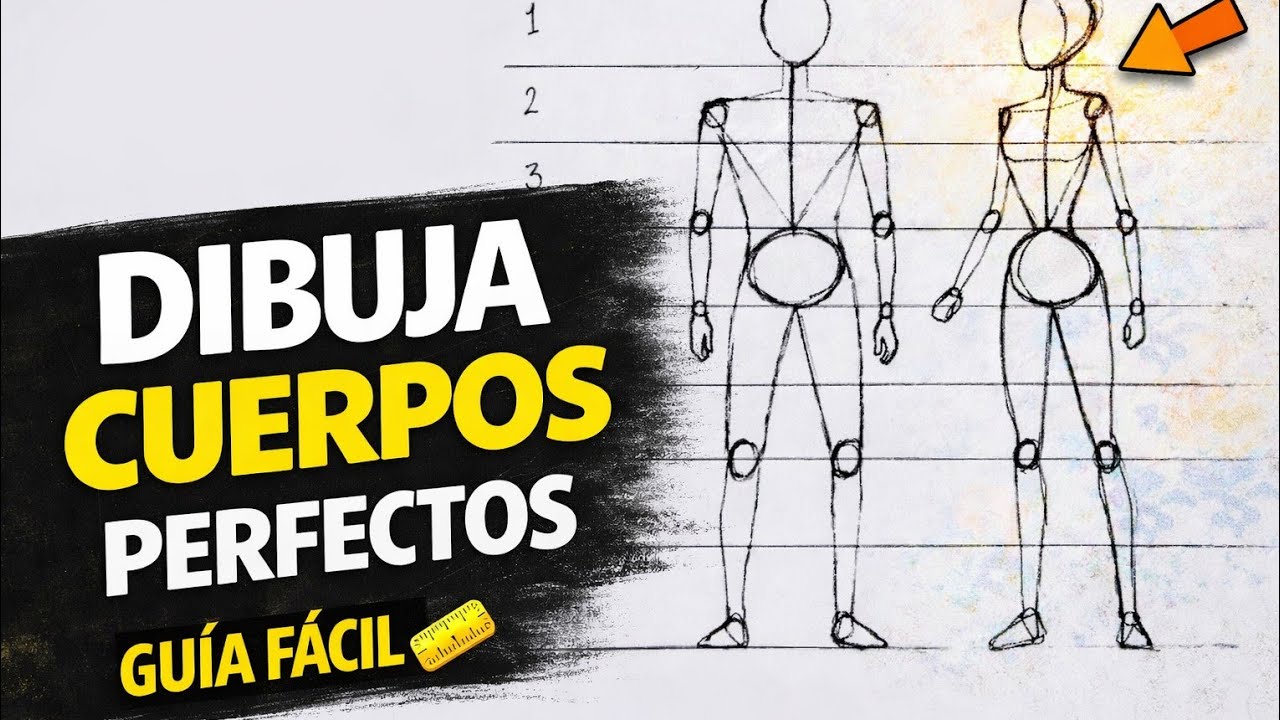Cánones y proporciones del cuerpo humano