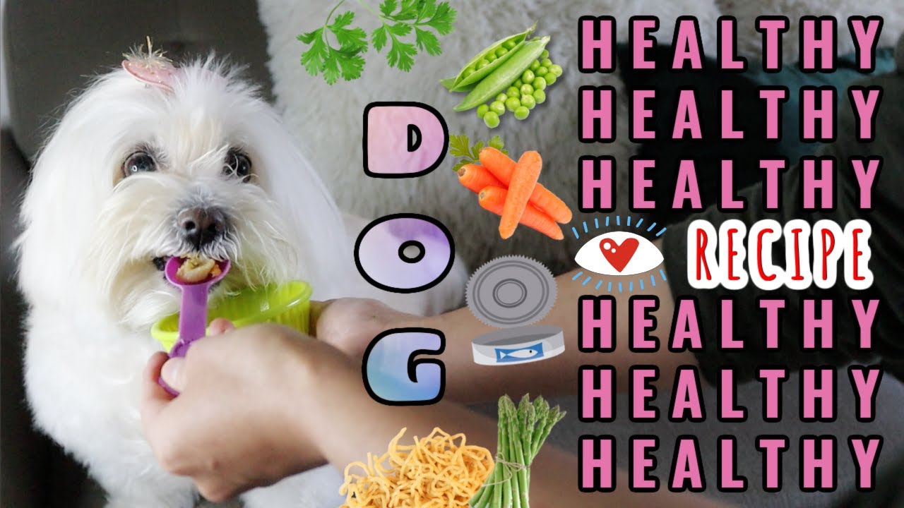 Healthy and Homemade food for Dogs , coton de tulear I Lorentix