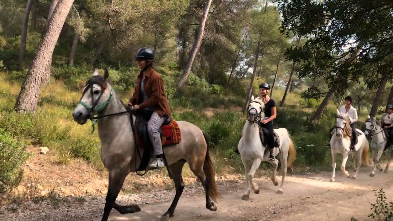 Ranxo Ses Roques Horse Riding Mallorca 2022