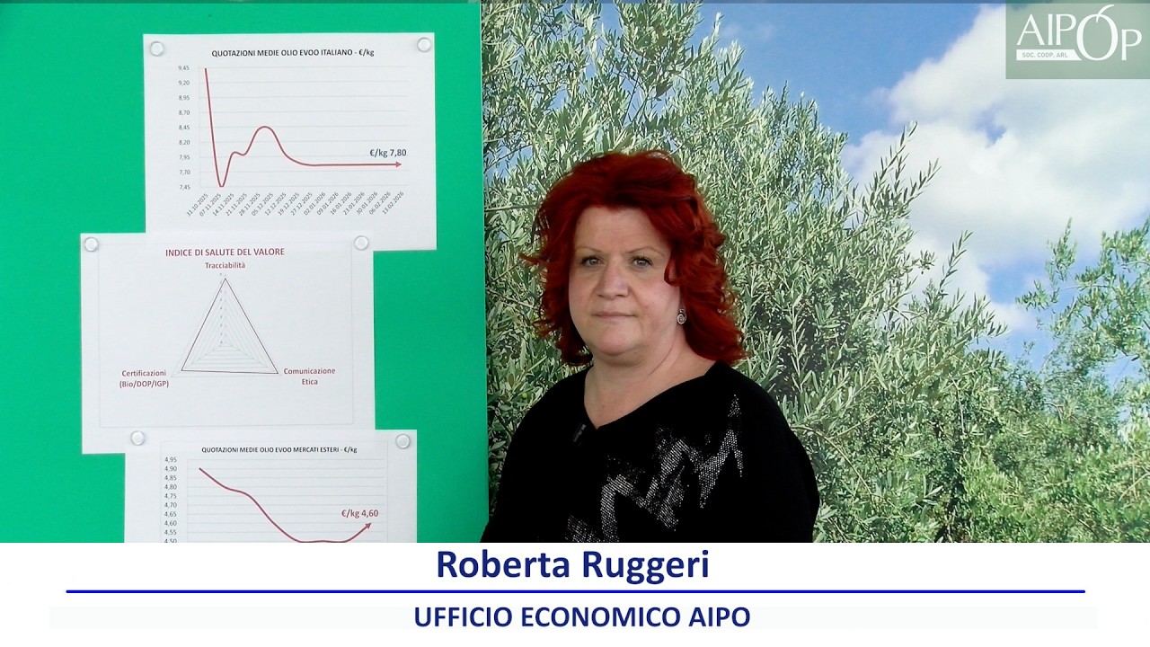 Oli extra vergine di oliva   Quotazioni 13 Febbraio 2026