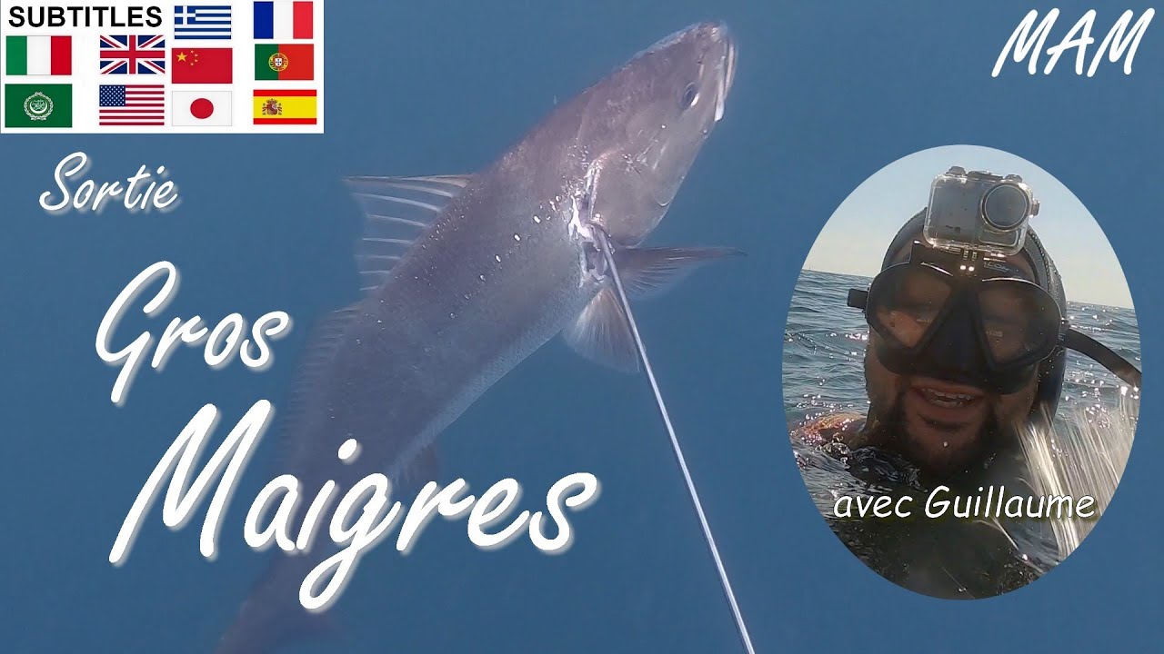 166🐟 SORTIE GROS MAIGRES avec Guillaume - Stage Chasse Sous-Marine en Vendée 