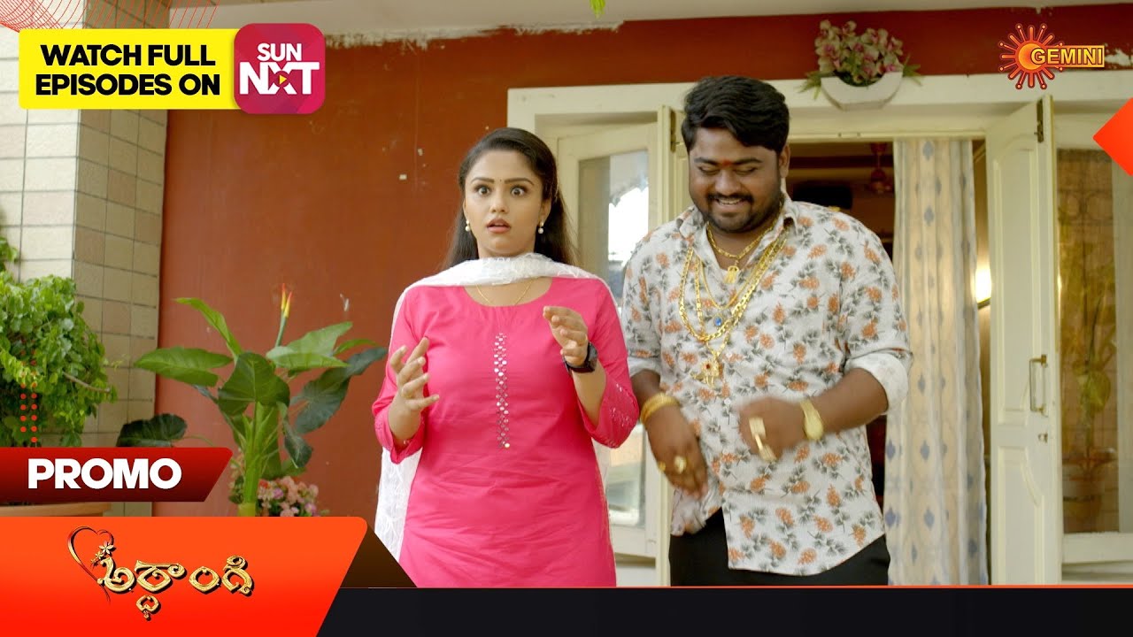 Ardhangi - Promo | 17 August 2023 | Telugu Serial | Gemini TV