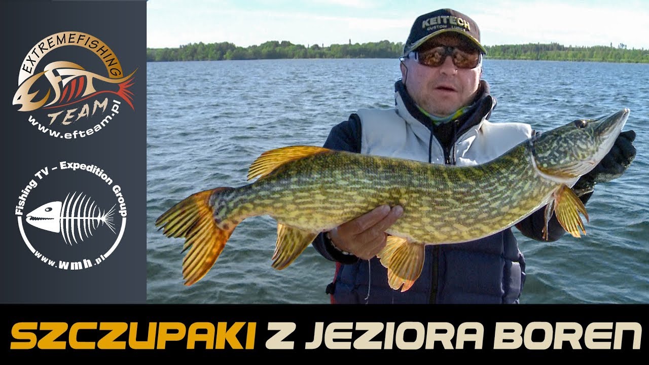 Szczupaki z jeziora Boren