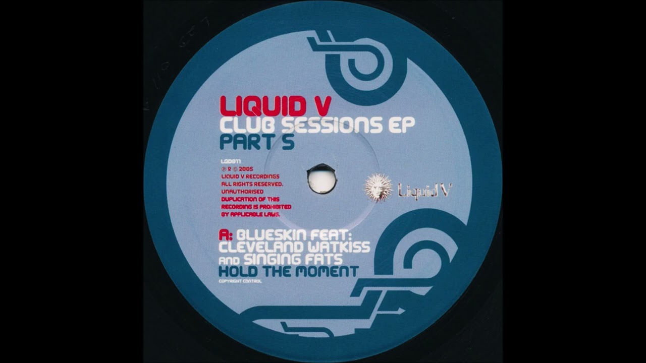 Blueskin feat. Cleveland Watkiss & Singing Fats - Hold The Moment