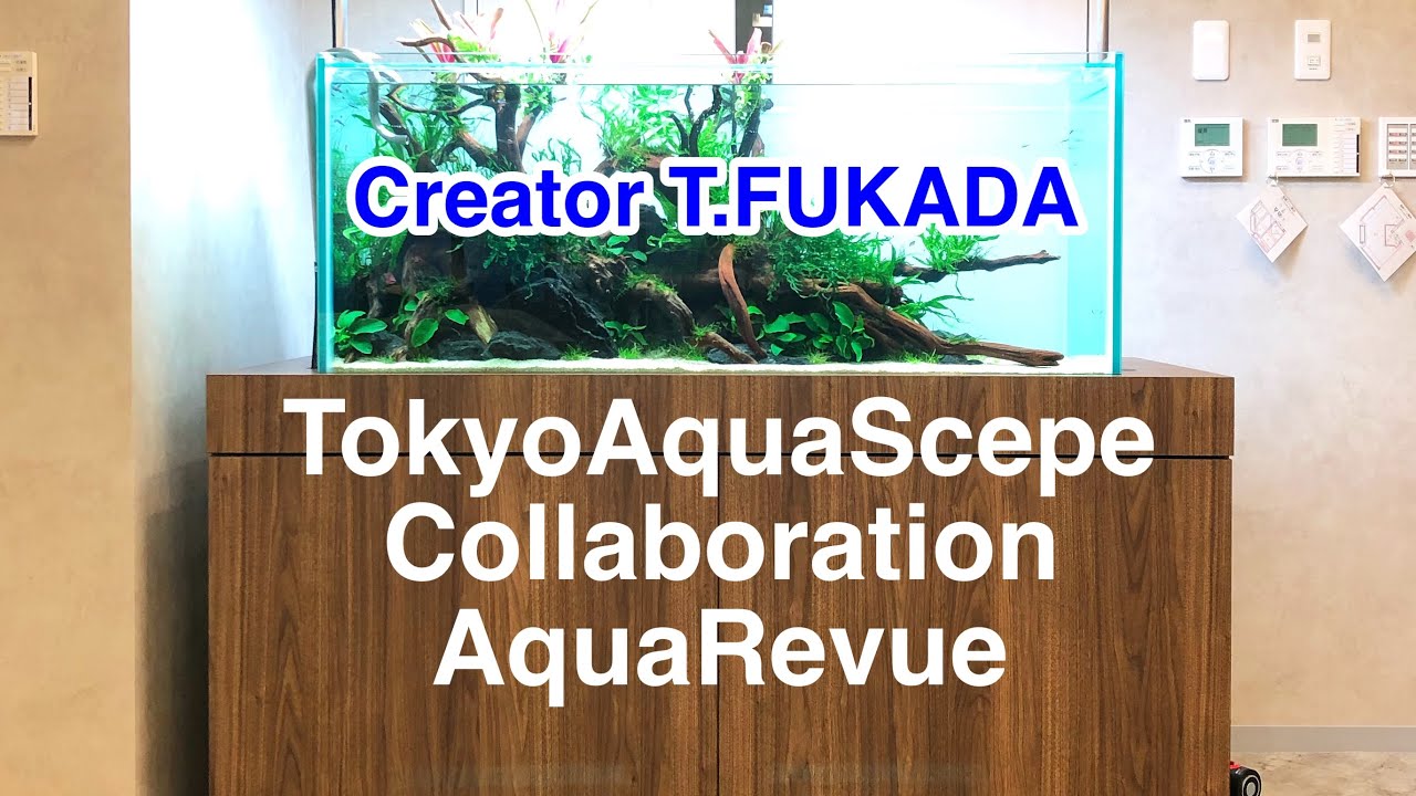 新規オフィス　水槽設置　有名水景クリエーターとの共同制作　☆Official☆　AquaRevue Neo CH