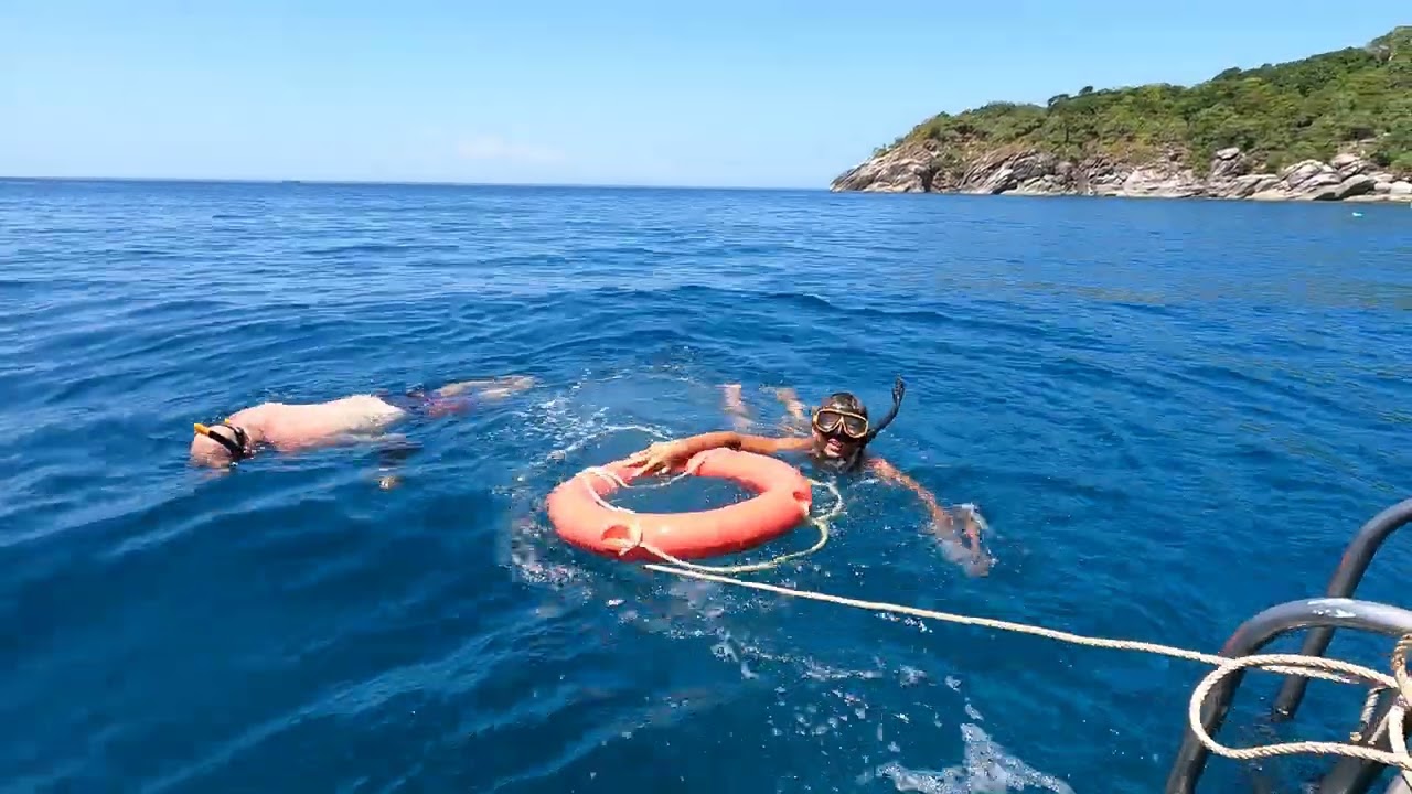 Kim gets stalked by a trigger fish