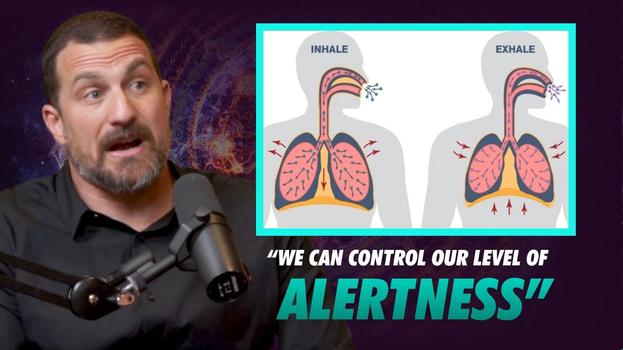 Neuroscientist &ldquo;Wake Up The Alertness System Of Your Brain&rdquo; | Andrew Huberman