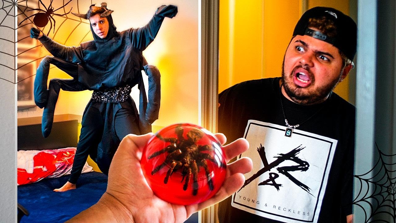 ASSUSTEI MEU AMIGO COM VARIAS ARANHAS &lsaquo; EduKof &rsaquo;