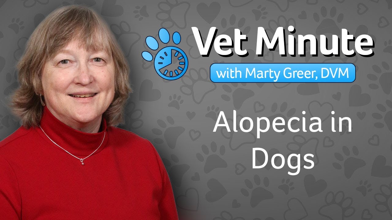 Alopecia in Dogs