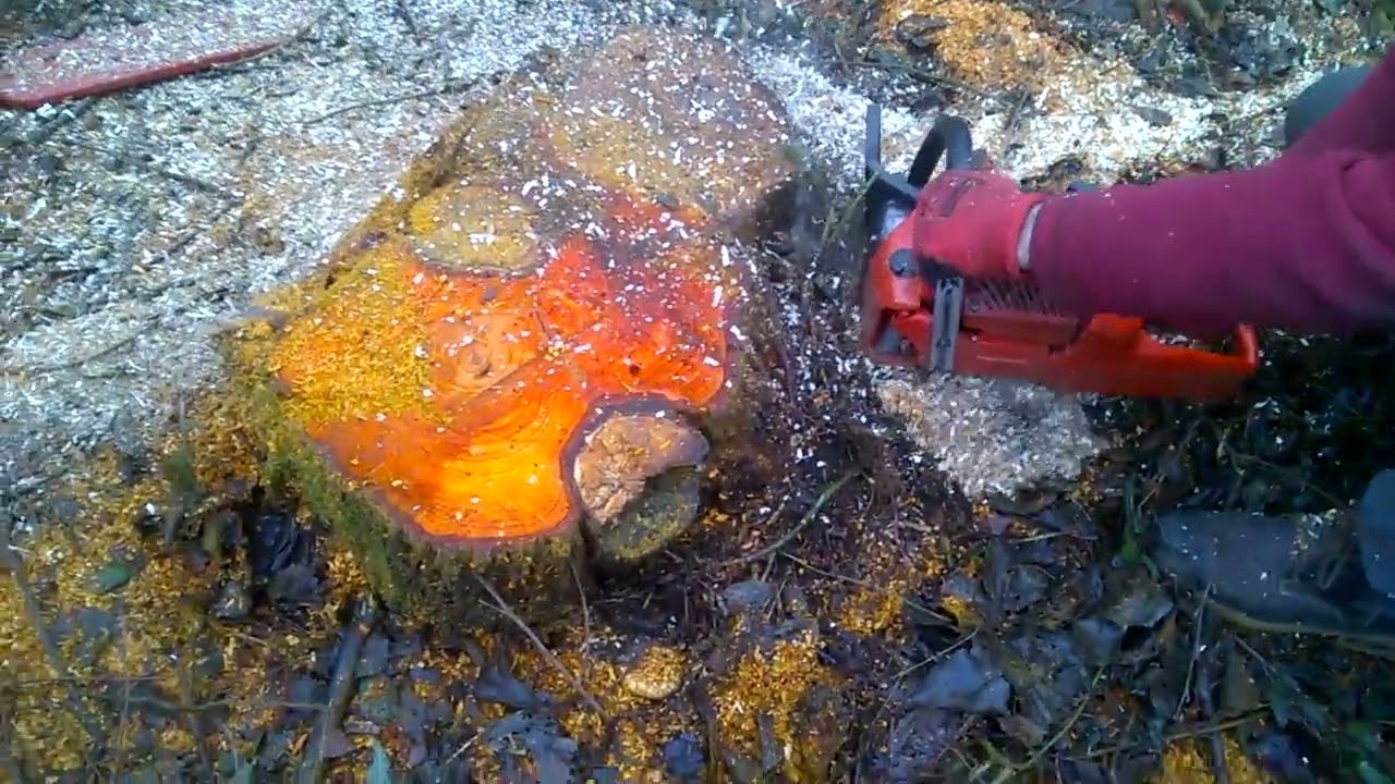 Piła spalinowa Jonsered 2150 vel Husqvarna 350 Docinanie pnia - BYŁO CIĘŻKO ;)