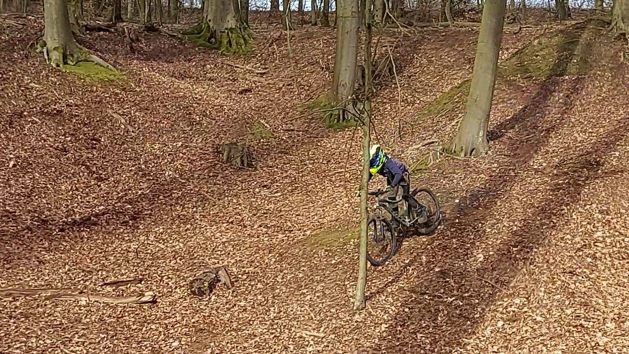 MTB im Wald