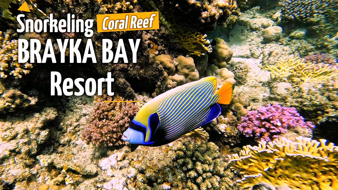 Snorkeling in Brayka Bay Resort's Coral Reef