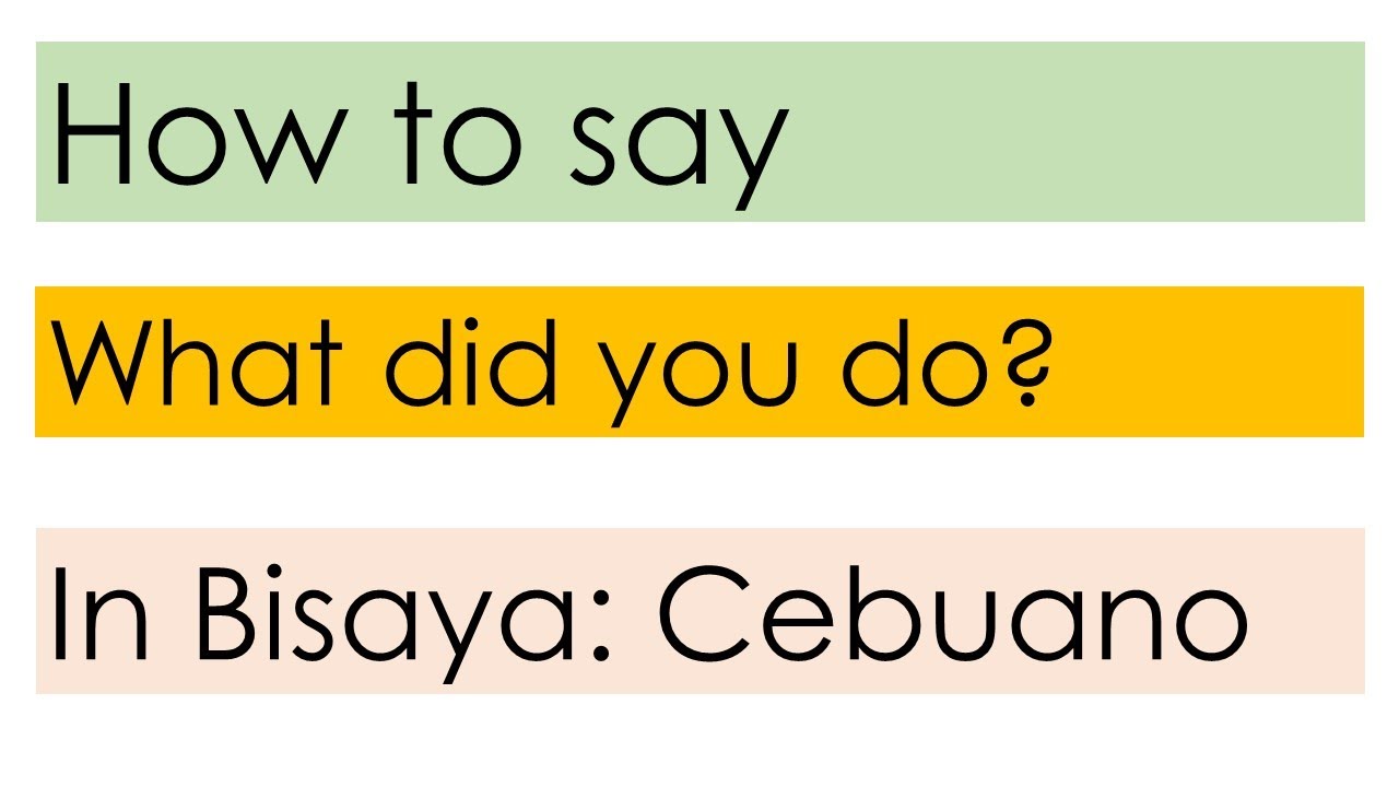 How to say What did you do in Bisaya [English-Bisaya]
