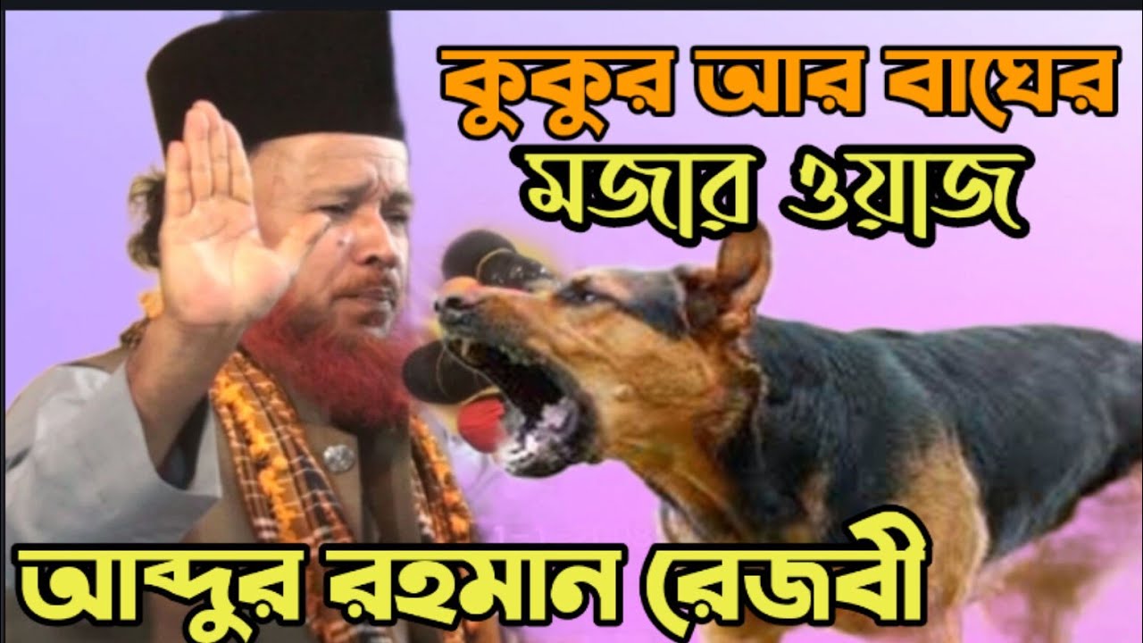 বড় পীর আব্দুল কাদের জিলানীর কুকুর আর বাঘের মজার  আশা করি এমন ওয়াজ আর কখনো শোনেন নাই  আব্দুর রহমান