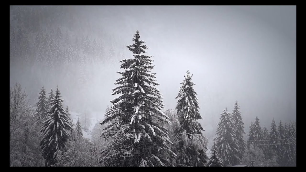 Melody Of Nature - GoodBMusic