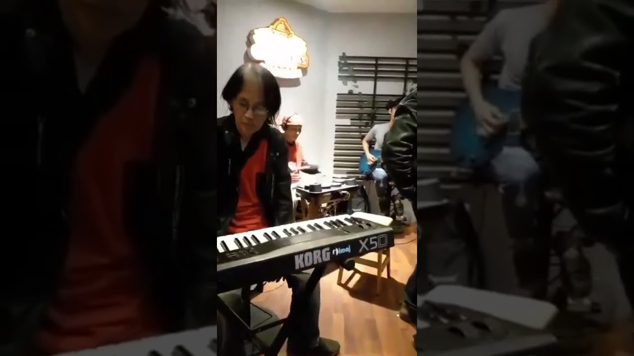 Picker Jack ~ Mustang Sally (Sir Mack Rice) | Wilson Picket | The Commitment | cover