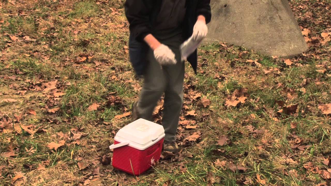 Cadaver Dog Solo Training with What the Dog Knows author Cat Warren