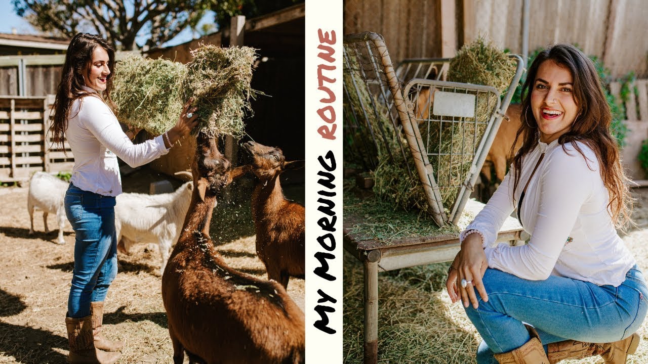 MORNING ROUTINE ON THE FARM » Zero Waste Vegan