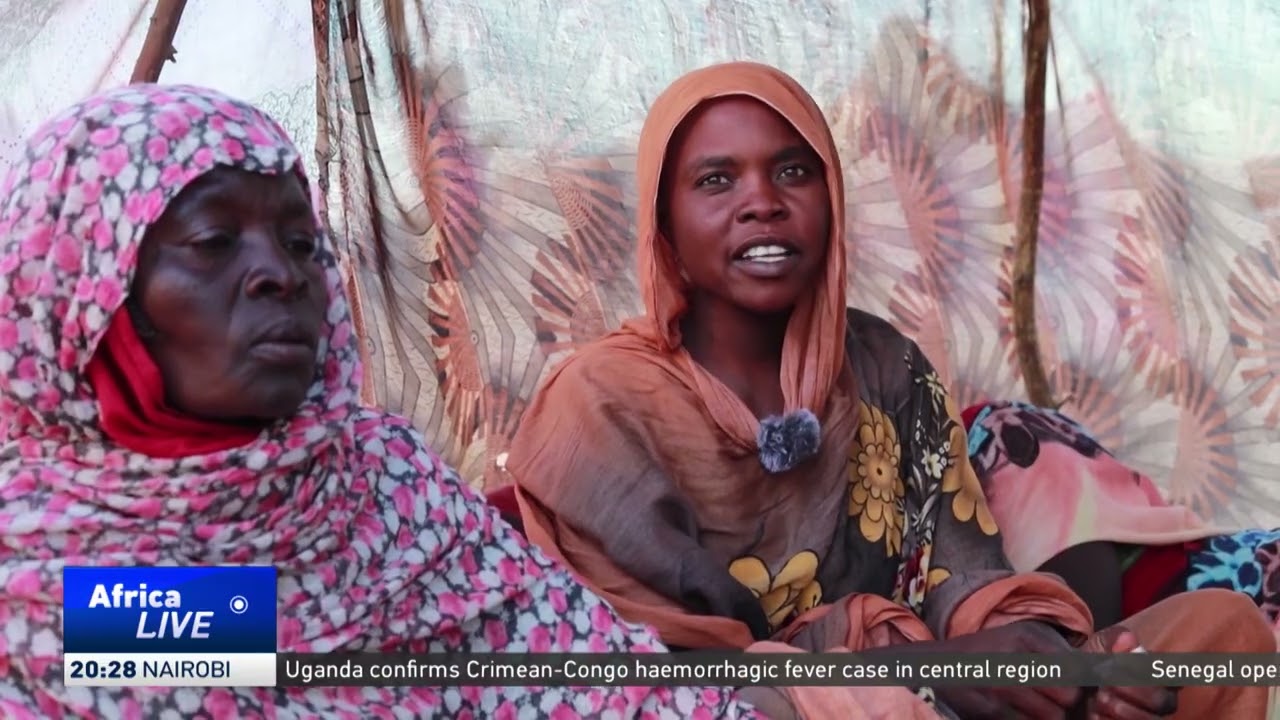 Displaced Sudanese endure as the El-Fasher takeover marks 100 days