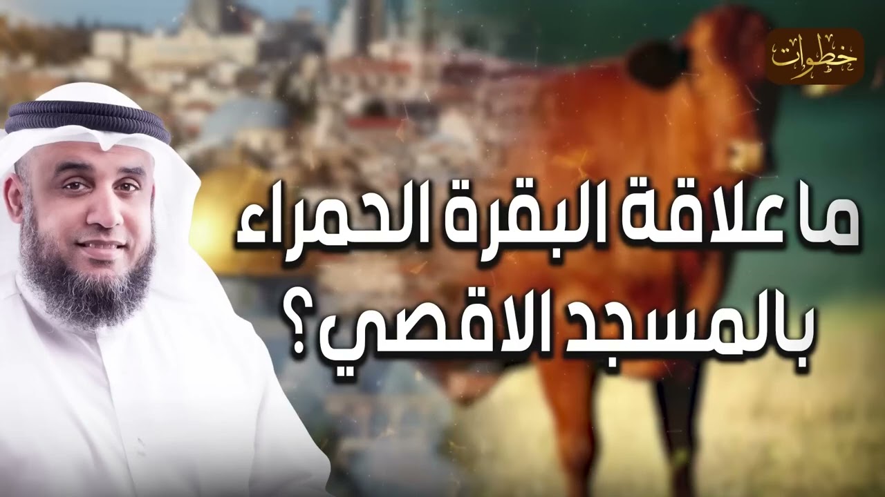 نواف السالم  حذر منها أبو عبيدة، ما قصة البقرة الحمراء التي يريد اليهود ذبحها لدخول المسجد الأقصى ؟