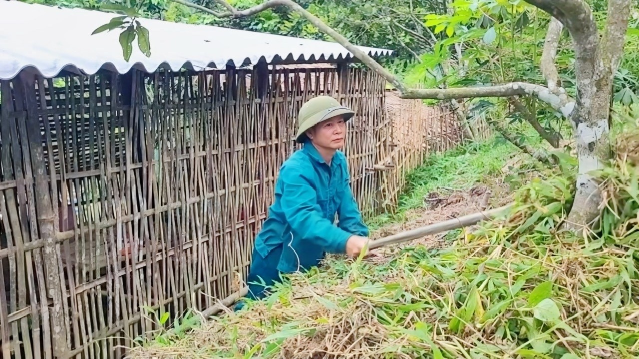 Mr. Huong went to the market and cleaned around his house