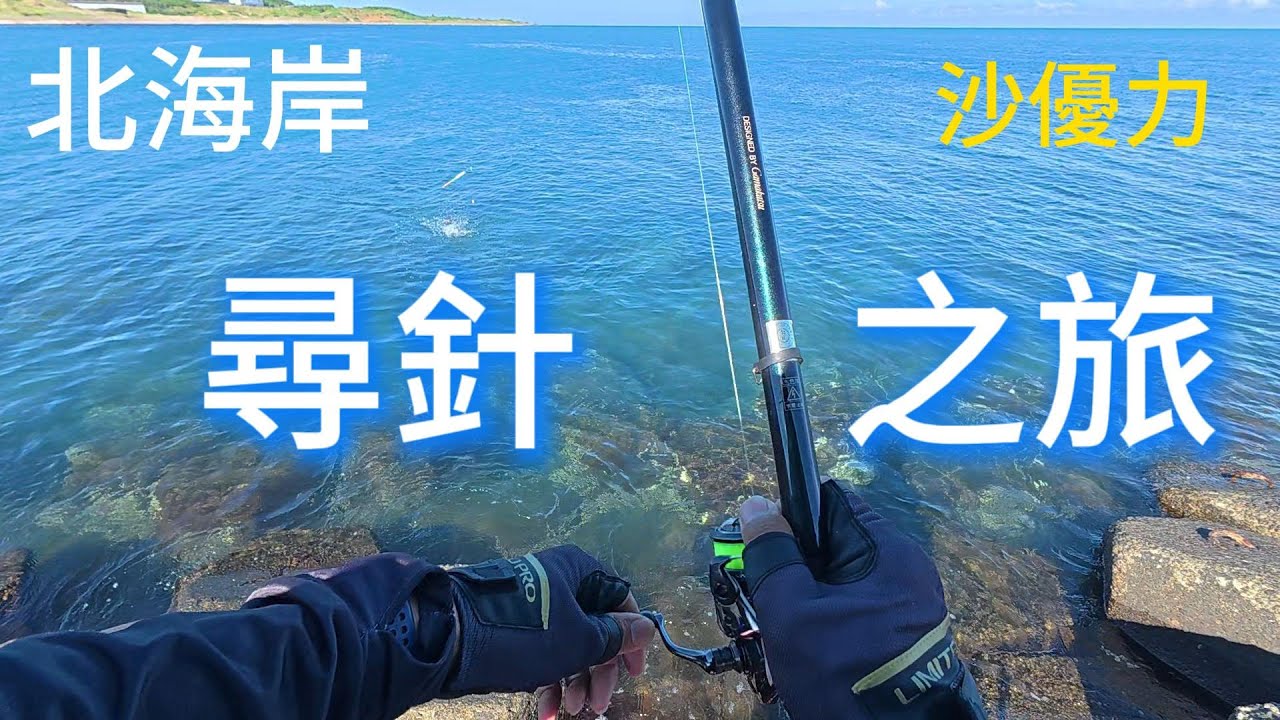 (釣魚)2025  北海岸  尋針之旅 新北市 三芝 磯釣 淺水灣  石門 海釣 釣魚  #fishing #沙優力#さより#Sayori