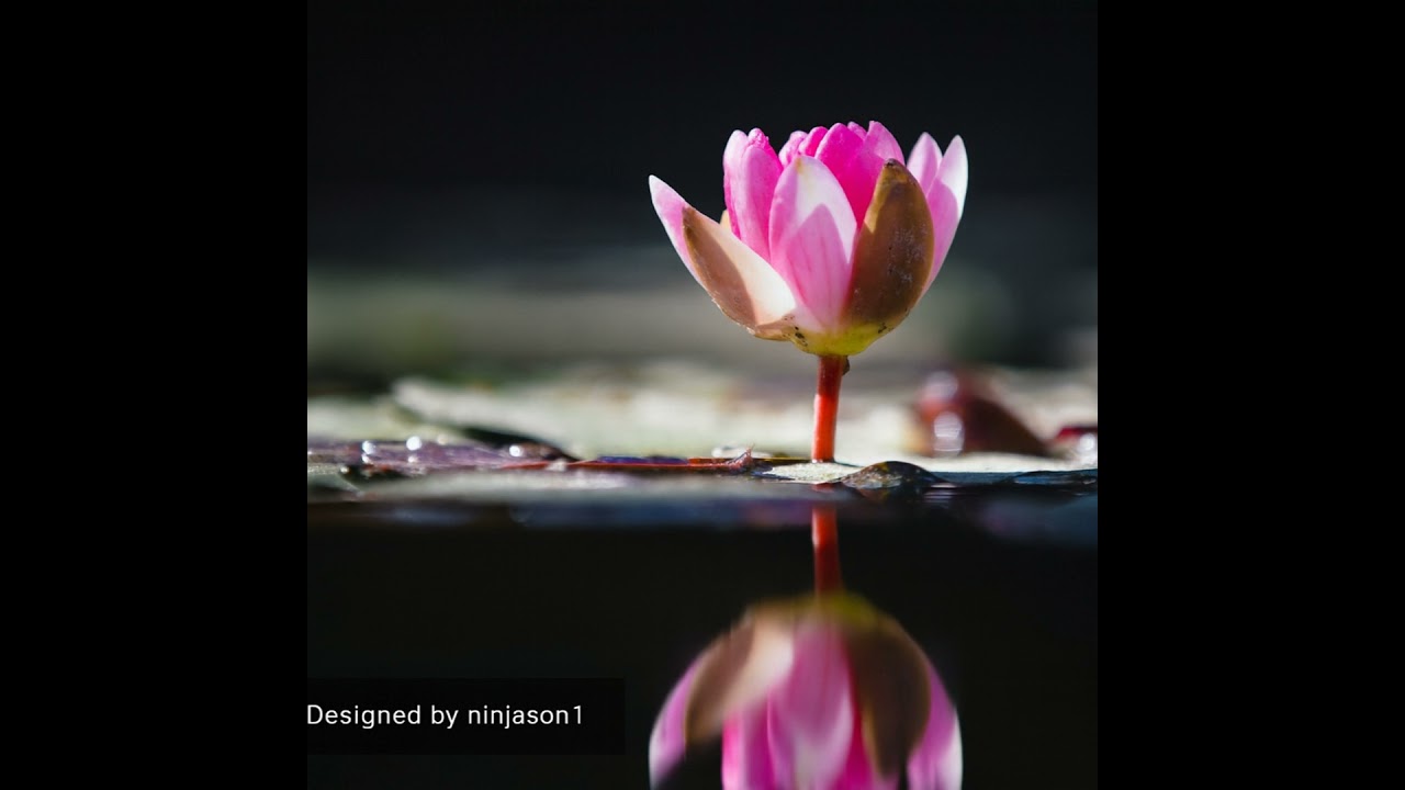 Heal from the Inside Out Series #29: Give from the Heart and Expect Nothing in Return