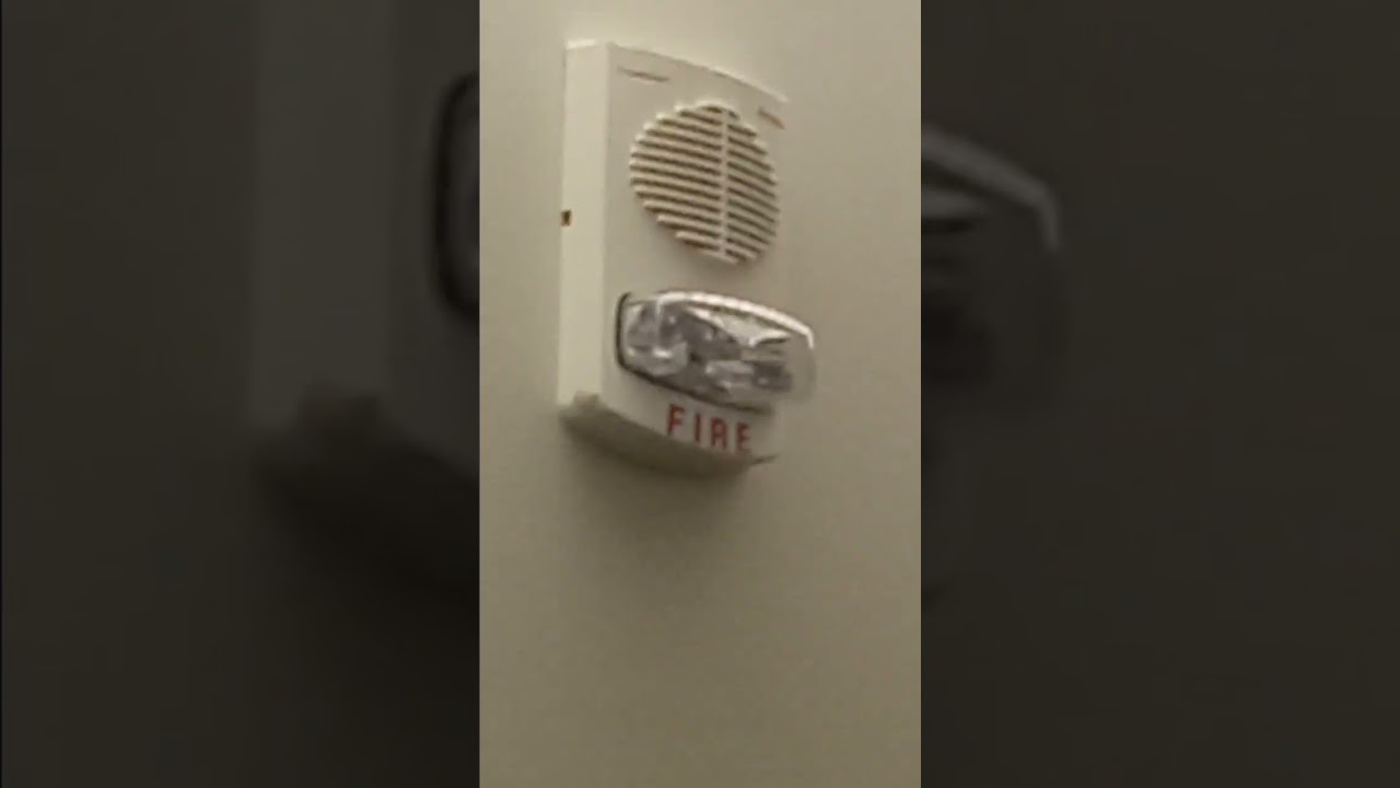 White Simplex Truealert Speaker strobe