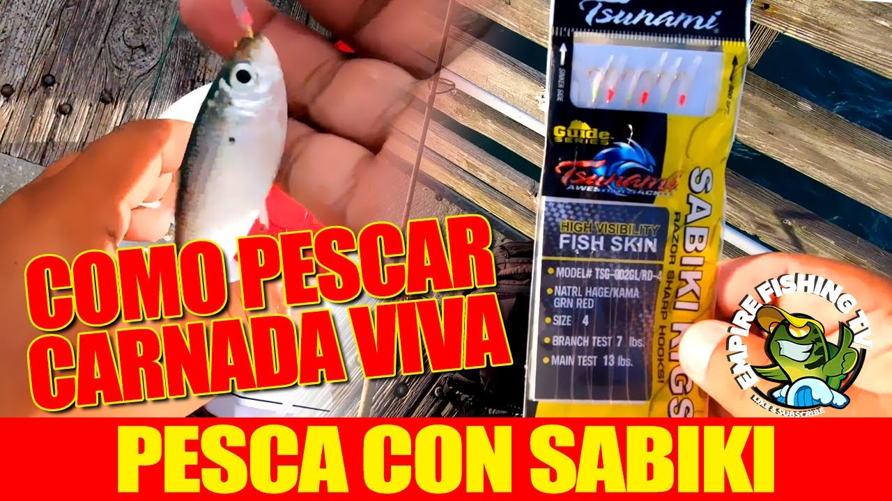 Como Pescar Carnada Viva Con Sabiki 🎣🐟