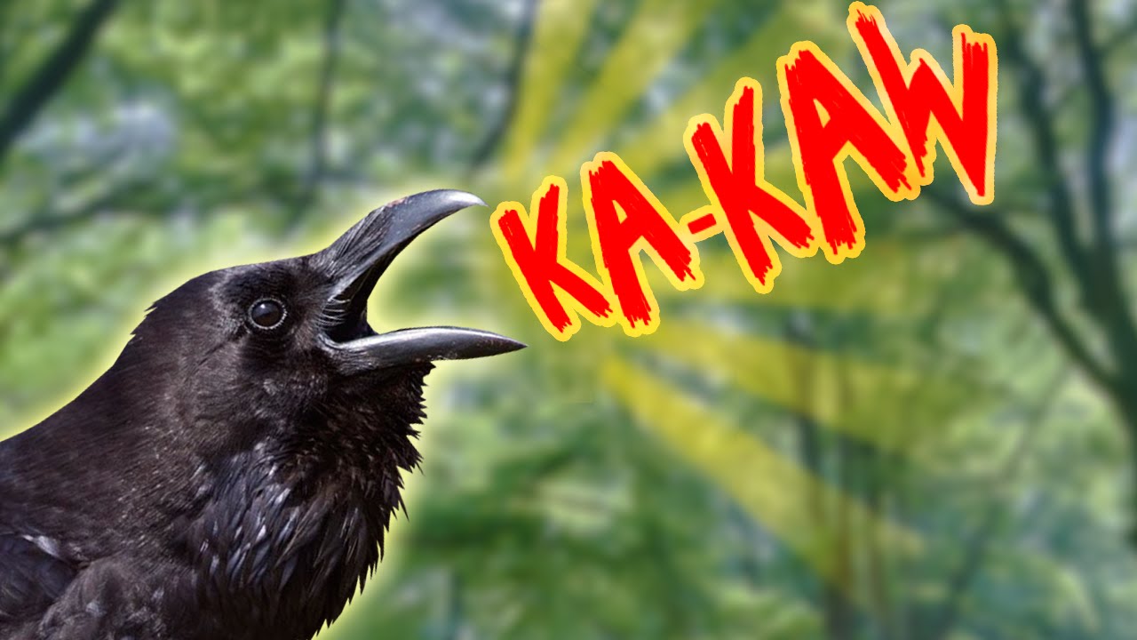 THE KA-KAW INCIDENT! (Gmod Hide & Seek)