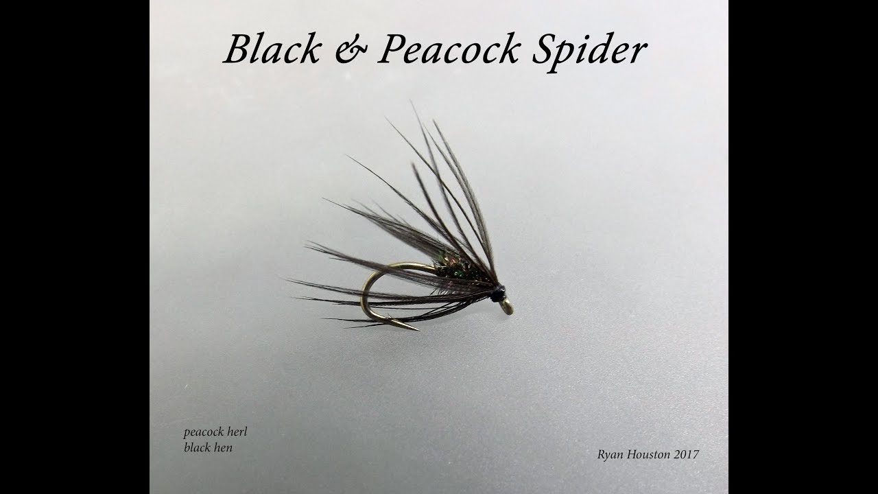 TYING THE BLACK & PEACOCK SPIDER WITH RYAN HOUSTON 2017