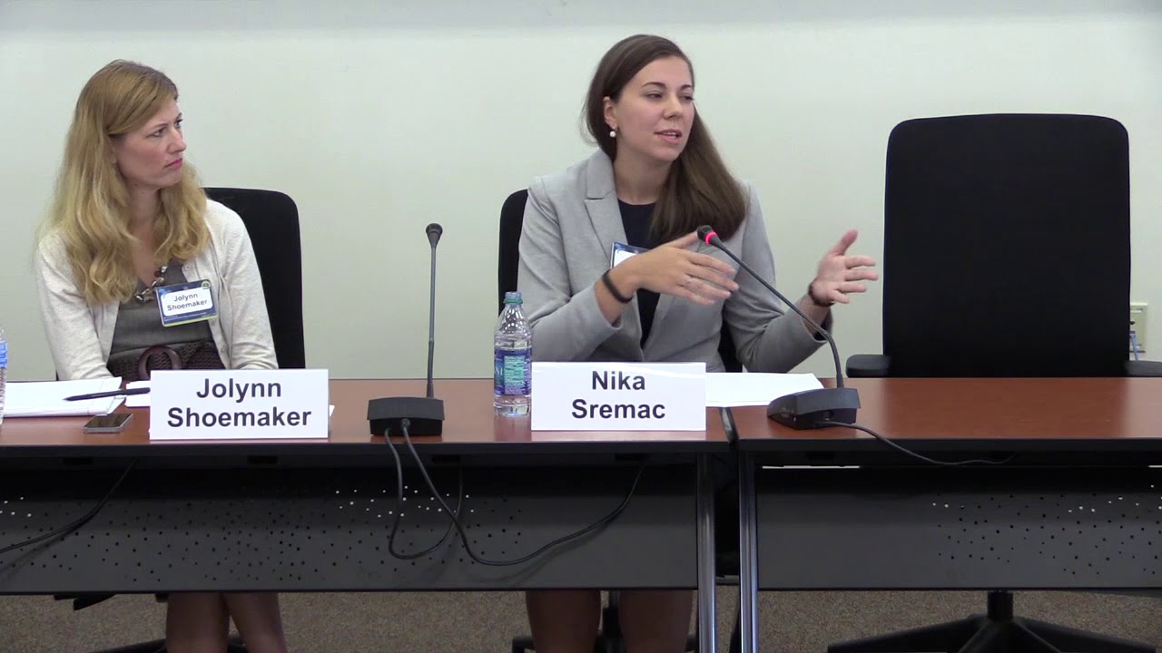 Women, Peace & Security 2017 | Panel Discussion: Ongoing Concerns - The Next Decade (Part 2)