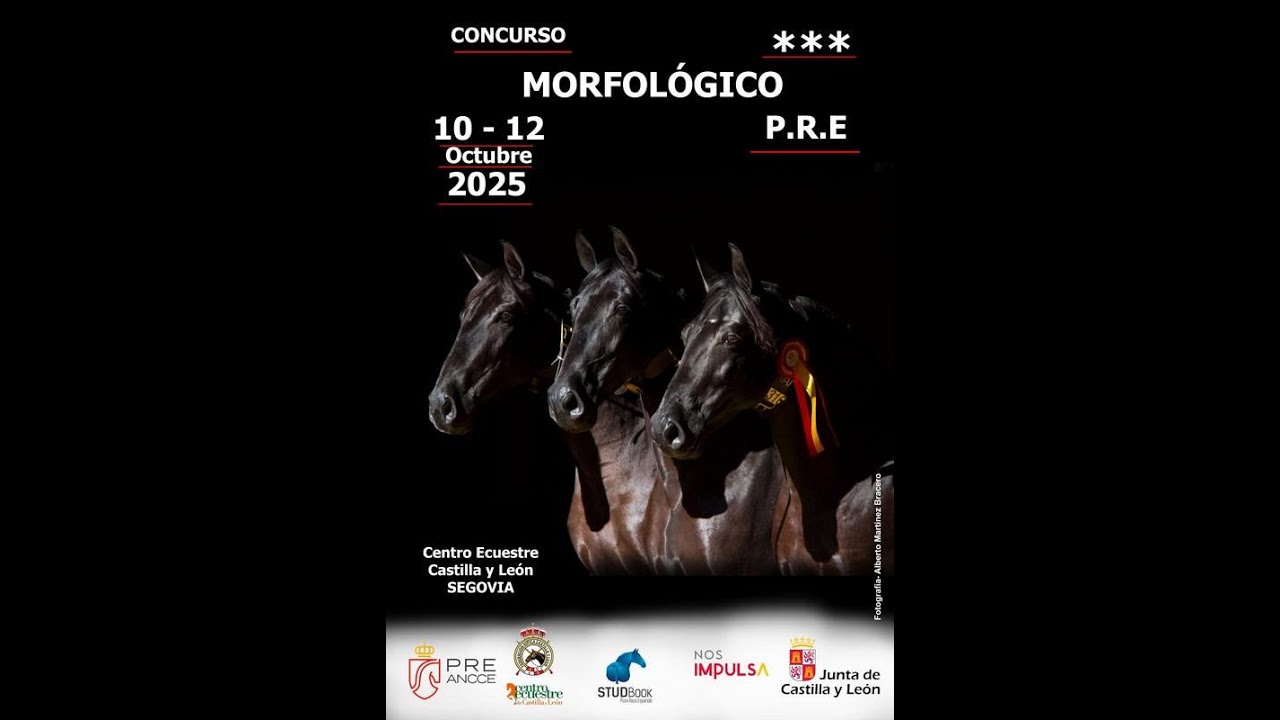 Segovia 2025 3* - Concurso clasificatorio para Sicab 2025 - Campeonato del Mundo de PRE