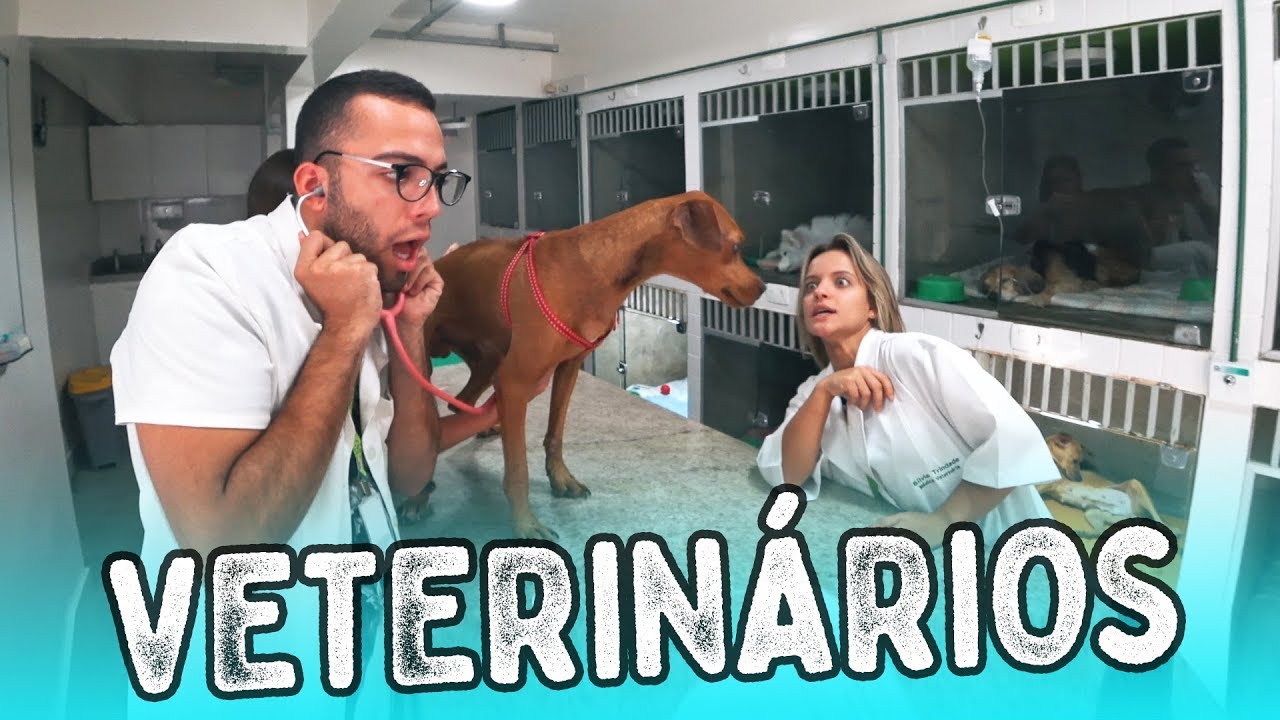 VIRAMOS VETERINÁRIOS POR UM DIA!!!