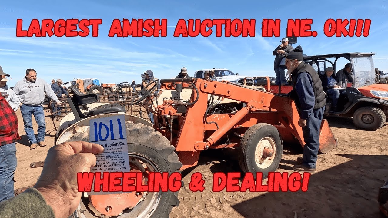 Largest Amish Farm Auction in NE Oklahoma! How Did I do???