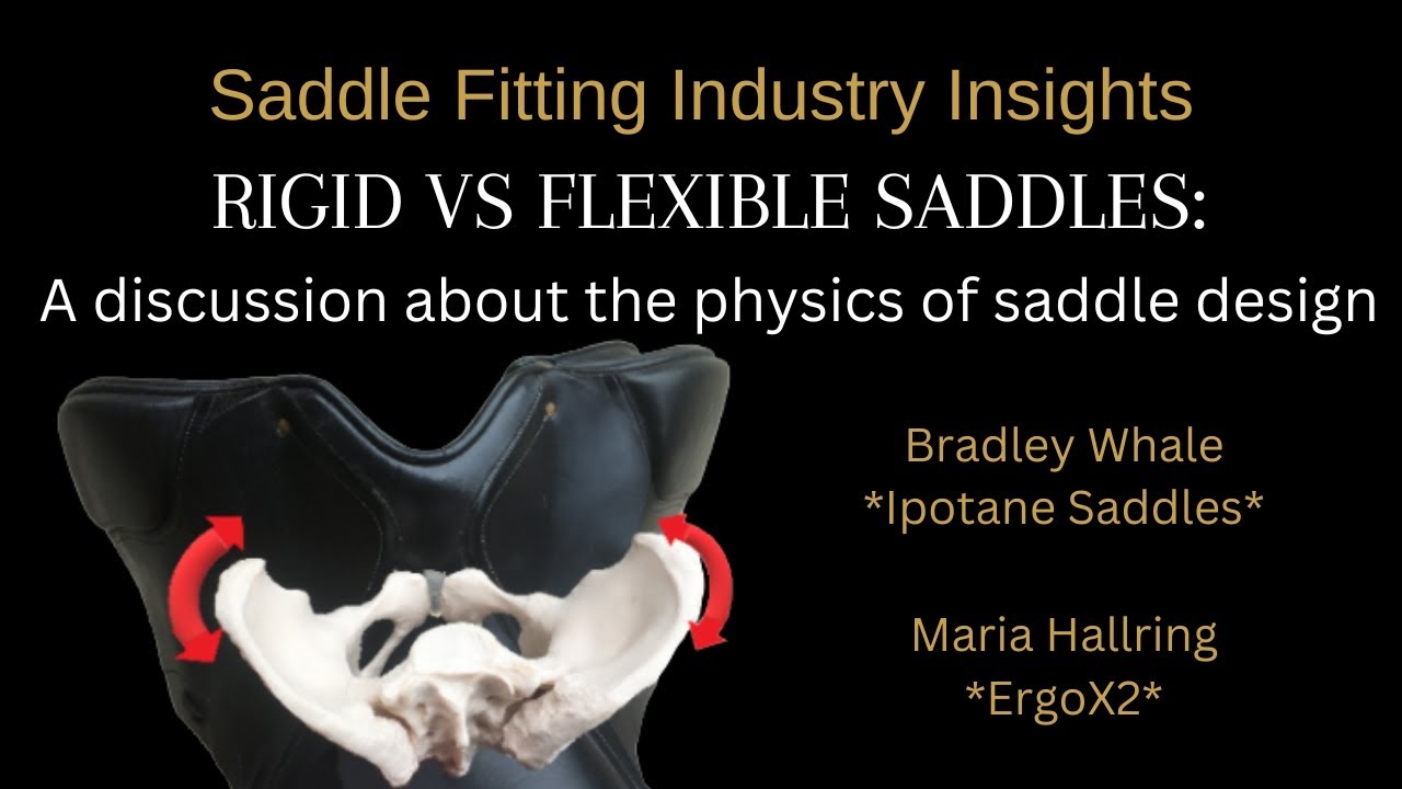 Rigid vs Flexible Saddles Part 3. with Maria Hallring ErgoX2  Bradley Whale Ipotane Saddles #saddles