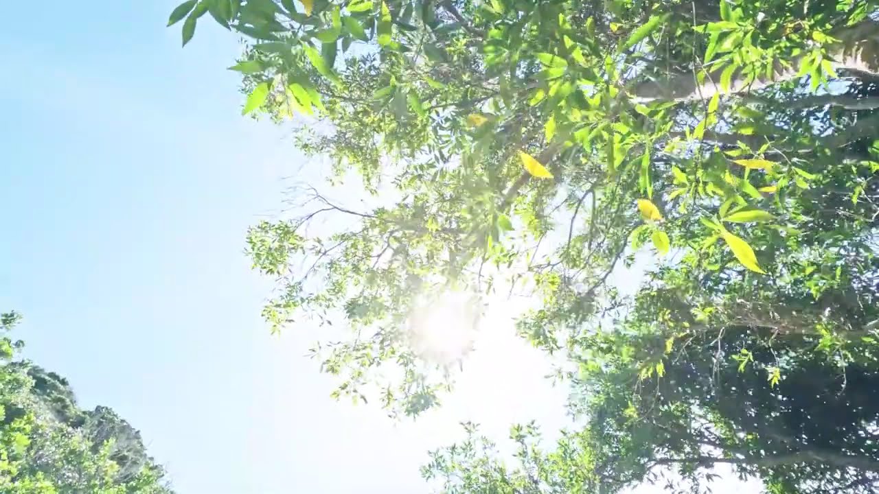 2 Hour Morning Sound Bath for Positive Energy, Focus & Calm