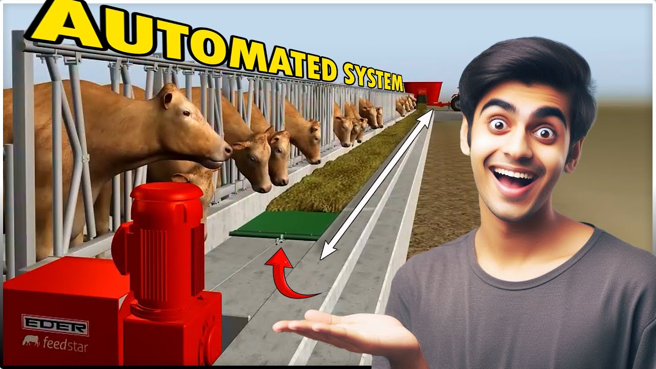 Fully Automated Cattle Feeding System | FeedStar | Cow/Buffalo/Goat Farm Smart Feeder System