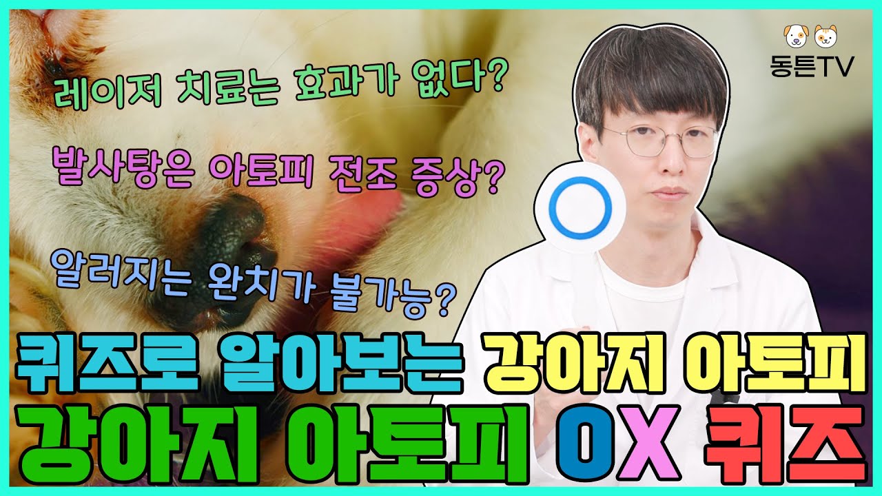 퀴즈로 알아보는 강아지아토피OX퀴즈