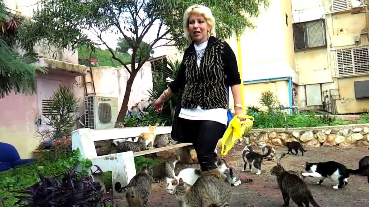 סיור עם סבטלנה ז'וקובסקי בפינת האכלה לחתולי חסרי בית ומאחורי הבניינים. קרית שמונה, פברואר 2013