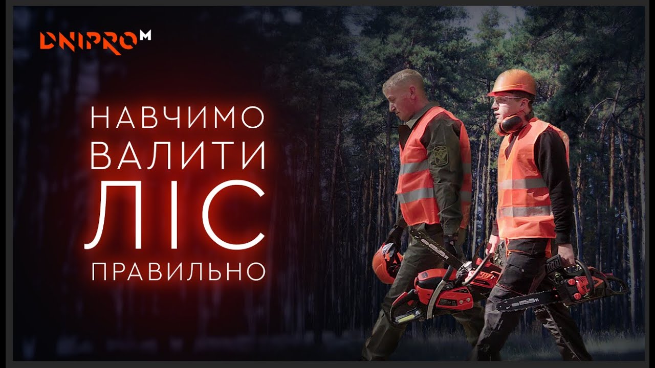 Мастер-класс от профессионального лесоруба | Как правильно валить дерево | Dnipro-M