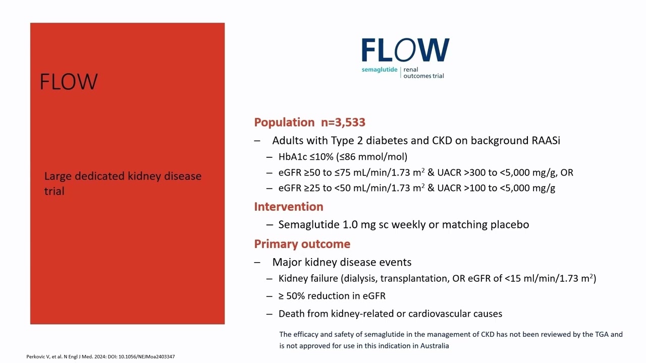 KDIGO-IACN Joint Symposium: Diabetic Kidney Disease