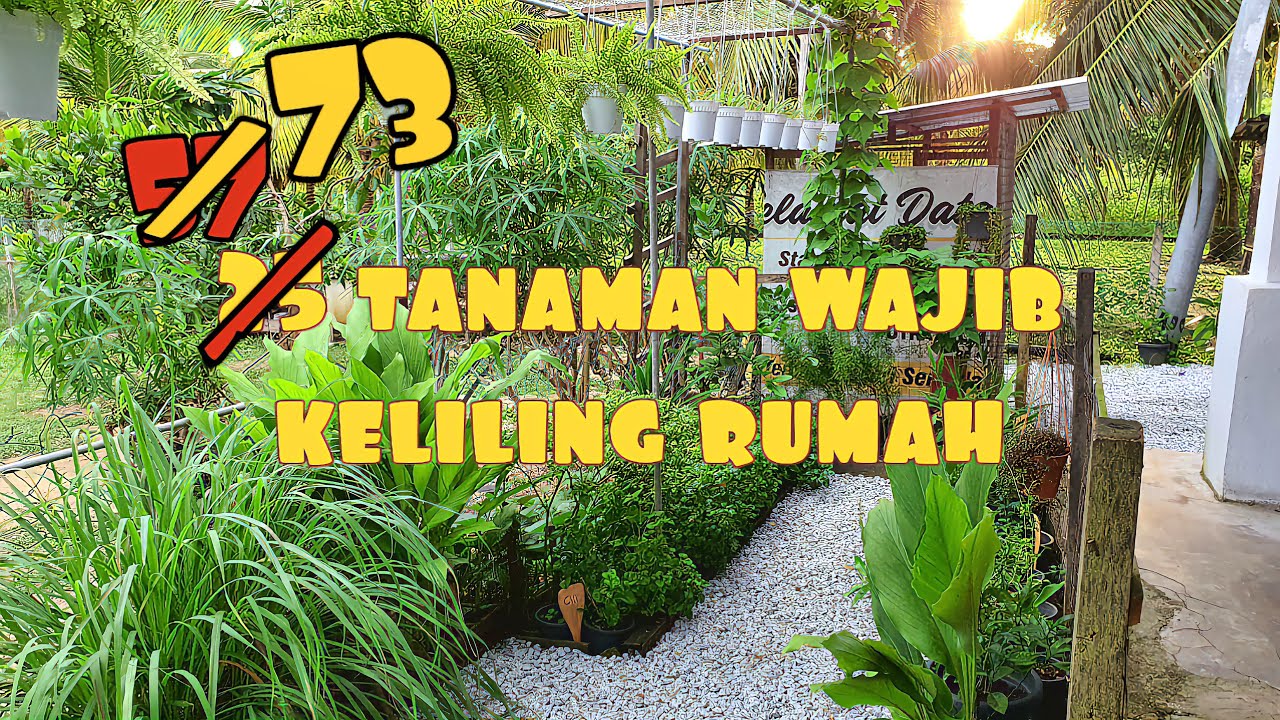 ✅️ 73 TANAMAN MAKANAN KELILING RUMAH || SEKUEL HERBA DAN MAKANAN