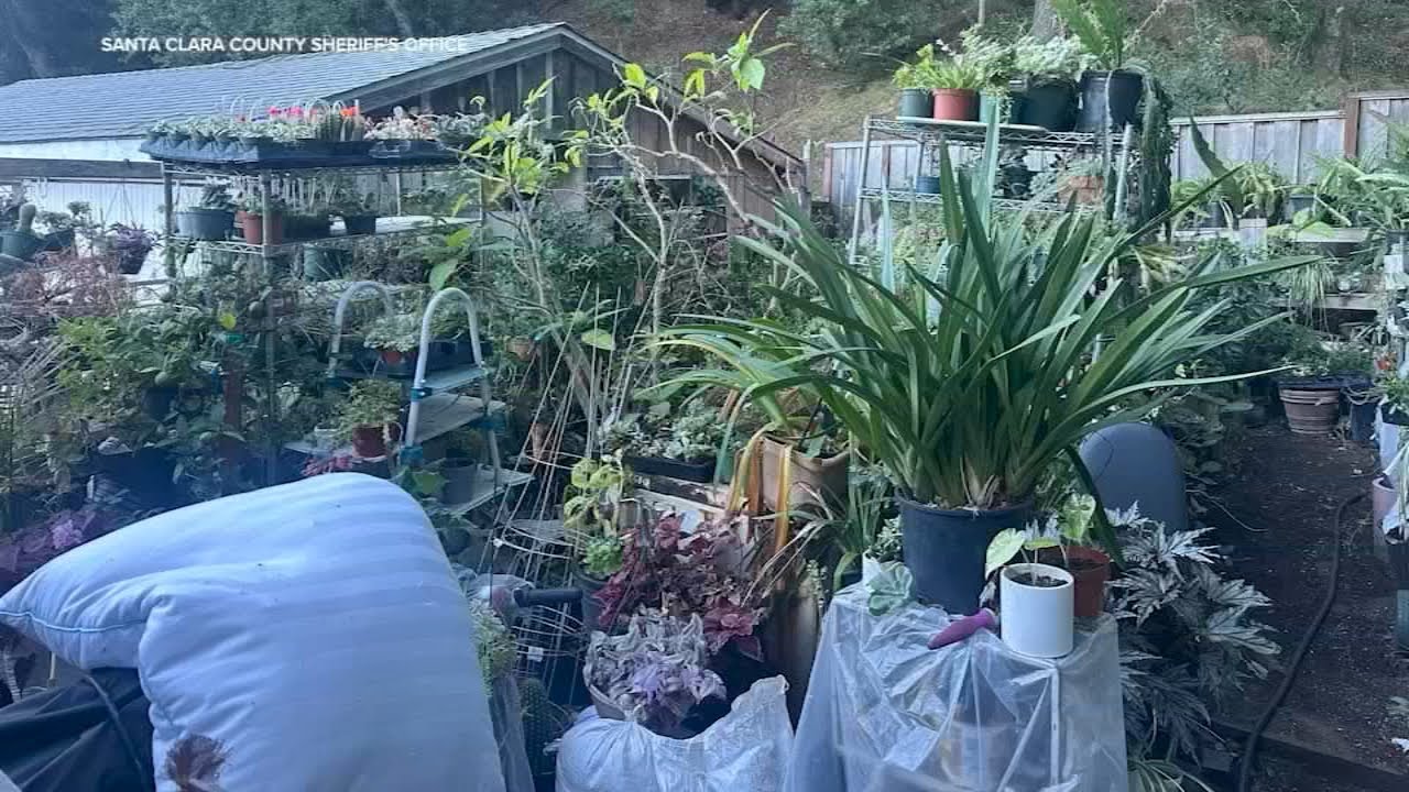 Deputies find $11K worth of stolen plants at San Jose home
