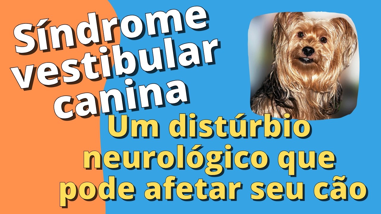 Síndrome Vestibular o que é e como agir