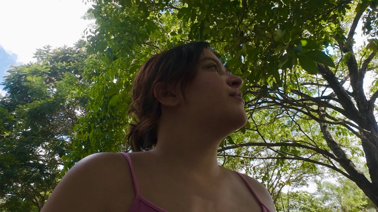 primeira semana de janeiro | vlog memória