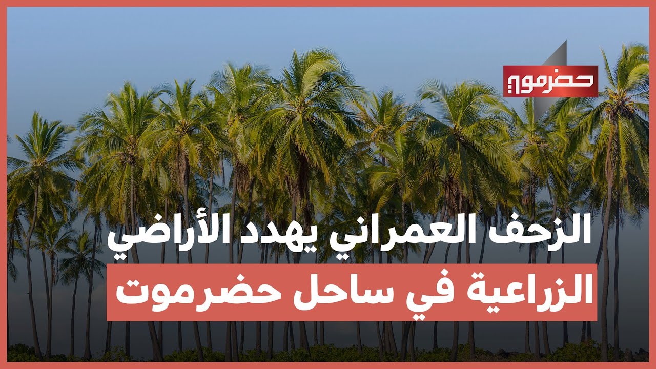 الزحف العمراني يهدد خصوبة الأراضي الزراعية في ساحل حضرموت